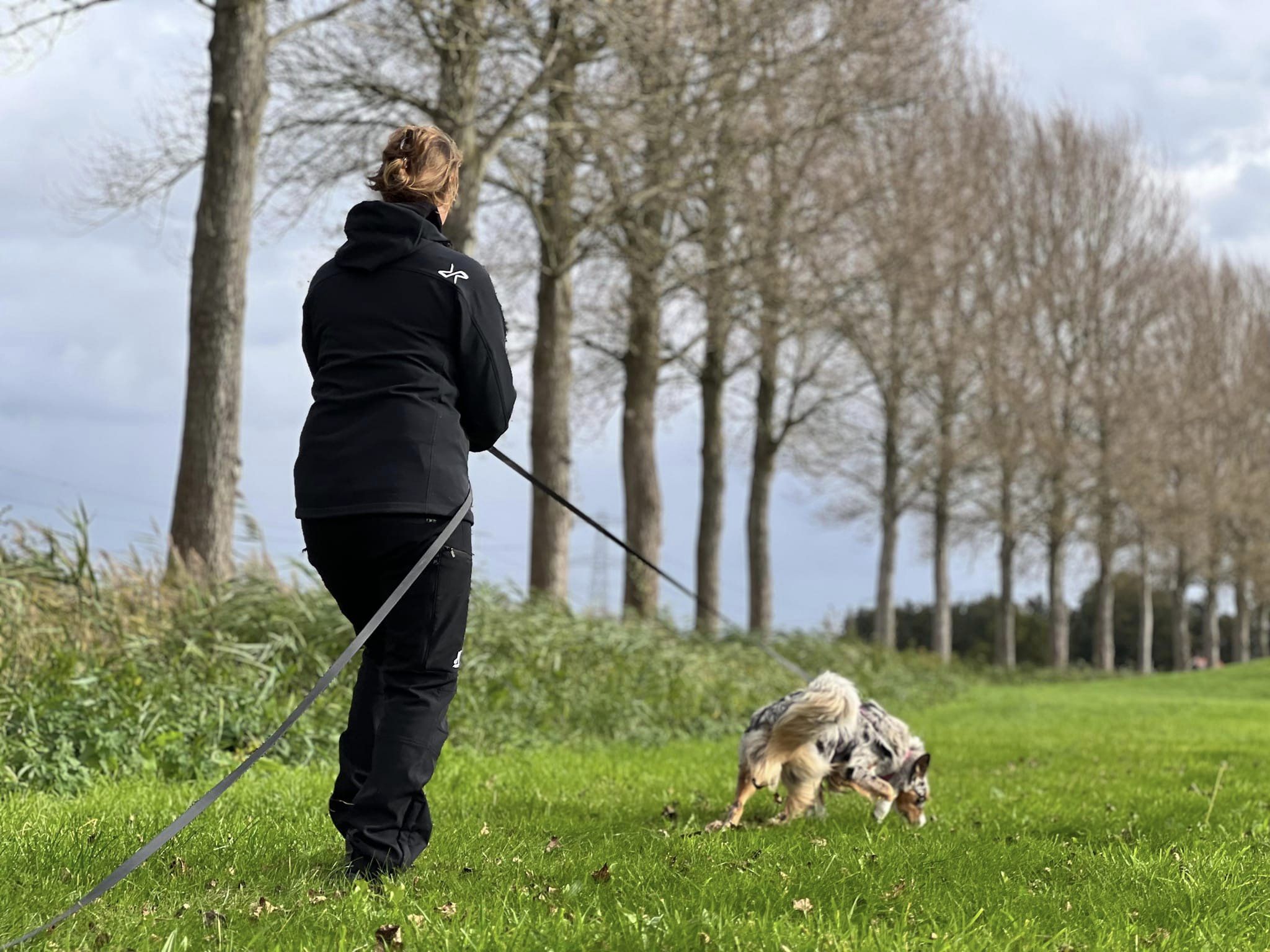 foto van hond die aan het mantrailen is met een persoon ernaast